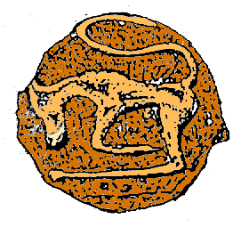 Taureau cornupète