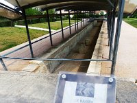 P60200332